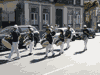 Rua Gon�alo Cristov�o